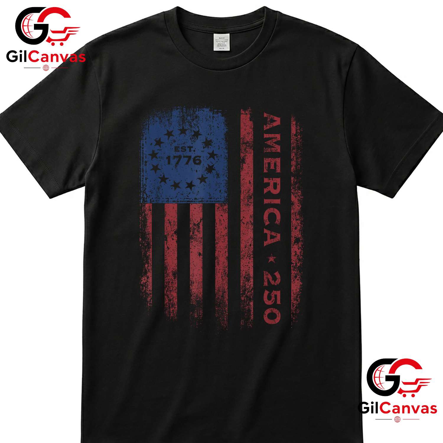 Vintage Historical US Flag America 250 Years Anniversary Unisex Adult T-Shirt